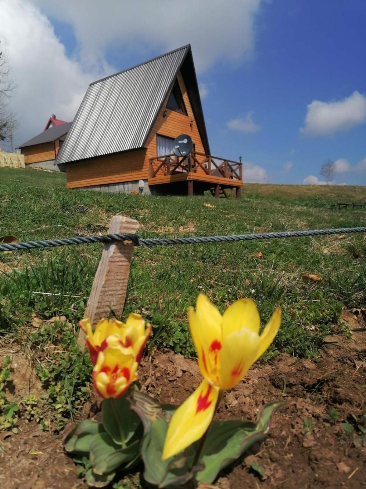 Villa Koliba Luca Smrcevo Brdo Žabljak Exterior foto